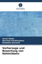 Morched Cheikhrouhou, Bouba Jaouachi, Boubaker Jaouachi, Sarah Malek - Vorhersage und Bewertung von Nahtnibbeln