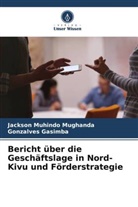 Gonzalves Gasimba, Jackson Muhindo Mughanda - Bericht über die Geschäftslage in Nord-Kivu und Förderstrategie