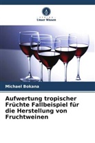 Michael Bokana - Aufwertung tropischer Früchte Fallbeispiel für die Herstellung von Fruchtweinen