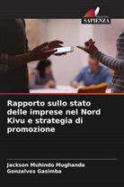 Gonzalves Gasimba, Jackson Muhindo Mughanda - Rapporto sullo stato delle imprese nel Nord Kivu e strategia di promozione