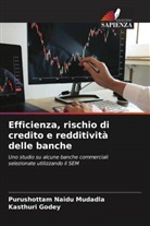 Kasthuri Godey, Purushottam  Naidu Mudadla, Purushottam Naidu Mudadla - Efficienza, rischio di credito e redditività delle banche