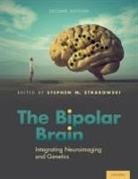 Stephen Strakowski, Stephen Strakowski - Bipolar Brain