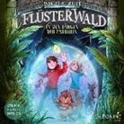 Andreas Suchanek, Timo Weisschnur - Flüsterwald - In den Fängen der Zauberin. Staffel.2.3, 1 Audio-CD, MP3 (Livre audio)