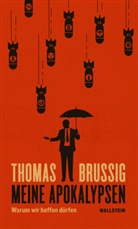 Thomas Brussig - Meine Apokalypsen