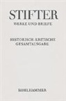Adalbert Stifter, Johann Lachinger - Werke und Briefe - Bd. 9/2: Wien und die Wiener, in Bildern aus dem Leben