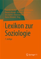 Benkel, Thorsten Benkel, Andrea D. Bührmann, Andrea D Bührmann, Daniela Klimke, Daniela Klimke u a... - Lexikon zur Soziologie, 2 Teile