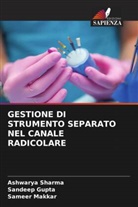 Sandeep Gupta, Sameer Makkar, Ashwarya Sharma - GESTIONE DI STRUMENTO SEPARATO NEL CANALE RADICOLARE