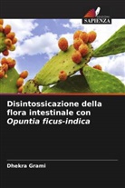 Dhekra Grami - Disintossicazione della flora intestinale con Opuntia ficus-indica