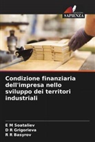 R R Basyrov, D R Grigorieva, E M Soataliev - Condizione finanziaria dell'impresa nello sviluppo dei territori industriali