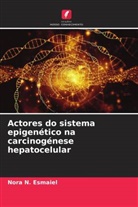 Nora N. Esmaiel - Actores do sistema epigenético na carcinogénese hepatocelular