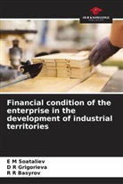 R R Basyrov, D R Grigorieva, E M Soataliev - Financial condition of the enterprise in the development of industrial territories