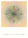 Danielle Vogel - A Library of Light