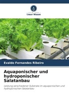 Evaldo Fernandes Ribeiro - Aquaponischer und hydroponischer Salatanbau