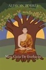 Aldivan Teixeira Torres - Meu Guia De Evolução