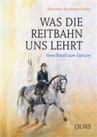 Dorothee Baumann - Pellny - Was die Reitbahn uns lehrt