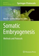 Marco A Ramírez-Mosqueda, Marco A. Ramírez-Mosqueda - Somatic Embryogenesis