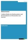 Michael Sommer - Cialdinis Waffen der Einflussnahme und Kommunikation in Printmedien und Internet