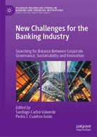 Santiago Carbó-Valverde, Pedro J. Cuadros-Solas, J Cuadros-Solas - New Challenges for the Banking Industry