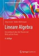 Liesen, Jörg Liesen, Volker Mehrmann - Lineare Algebra
