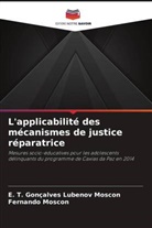E. T. Gonçalves Lubenov Moscon, Fernando Moscon - L'applicabilité des mécanismes de justice réparatrice