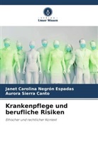 Janet Carolina Negrón Espadas, Auror Sierra Canto, Aurora Sierra Canto - Krankenpflege und berufliche Risiken