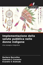 Barbara Barcellos, Gabriela C Carneiro, Evandro S Andrade - Implementazione della salute pubblica nelle donne indigene