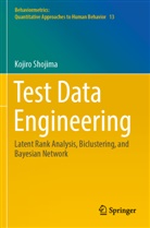 Kojiro Shojima - Test Data Engineering