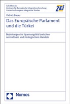 Patrick Baues - Das Europäische Parlament und die Türkei