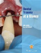 Aws Alani, Aws Calvert Alani, Gareth Calvert - Dental Trauma At a Glance