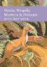 Jenny MacPherson - Stoats, Weasels, Martens and Polecats