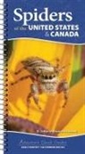 Sebastian Echeverri, Sebastian Alejandro Echeverri - Spiders of the United States & Canada