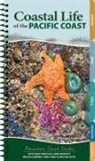 Stephanie Panlasigui - Coastal Life of the Pacific Coast