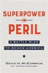 David McCormick, McCormick David - Superpower in Peril