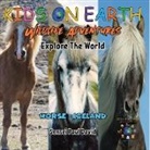 Sensei Paul David - KIDS ON EARTH Wildlife Adventures - Explore The World - Horse - Iceland