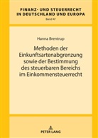 Hanna Brentrup, Rainer Wernsmann - Methoden der Einkunftsartenabgrenzung sowie der Bestimmung des steuerbaren Bereichs im Einkommensteuerrecht