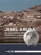 Govert van Driel, Carol van Driel-Murray, Govert van Driel, Carol van Driel-Murray - Jebel Aruda: An Uruk period temple and settlement in Syria (Volume II)
