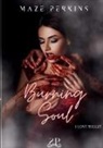 Maze Perkins, Sinner Publishing - Burning soul