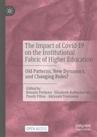 Elizabeth Balbachevsky, Pundy Pillay, Pundy Pillay et al, Rómulo Pinheiro, Akiyoshi Yonezawa - The Impact of Covid-19 on the Institutional Fabric of Higher Education
