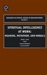 Moses L Pava, Moses L. Pava, Patrick Primeaux - Spiritual Intelligence at Work