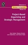 Gino Cattani, Simone Ferriani, Lars Frederiksen, Florian A. Taube - Project-Based Organizing and Strategic Management