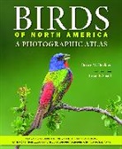 Bruce M Beehler, Bruce M (National Museum of Natural Histo Beehler, Bruce M (National Museum of Natural History Smithsonian Institution) Beehler, Bruce M. Beehler, Bruce M. (Research Scientist and Field Na Beehler, Bruce M. (Research Scientist and Field Naturalist Beehler... - Birds of North America
