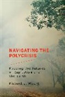 Michael J Albert, Michael J. Albert, Michael J. Albert - Navigating the Polycrisis