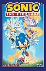 Ian Flynn, Mauro Fonseca, Thomas Rothlisberger, Evan Stanley, Adam Bryce Thomas, Various Various - Sonic the Hedgehog, Vol. 16: Misadventures