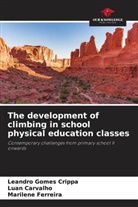 Luan Carvalho, Leandro Gomes Crippa, Marilene Ferreira - The development of climbing in school physical education classes