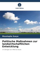 Moustapha Gueye - Politische Maßnahmen zur landwirtschaftlichen Entwicklung