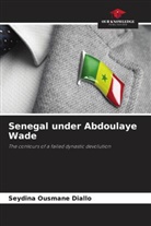 Seydina Ousmane Diallo - Senegal under Abdoulaye Wade