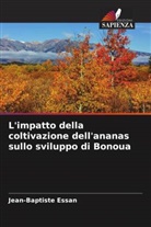 Jean-Baptiste Essan - L'impatto della coltivazione dell'ananas sullo sviluppo di Bonoua