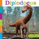 Lori Dittmer - Diplodocus