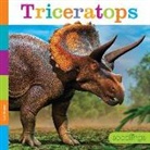 Lori Dittmer - Triceratops