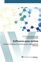 Victor Elias Mouchrek Filho, Oliveira Everton, Gustavo Oliveira Everton, Cassiano Vasques Frota Guterres - Software-pass online